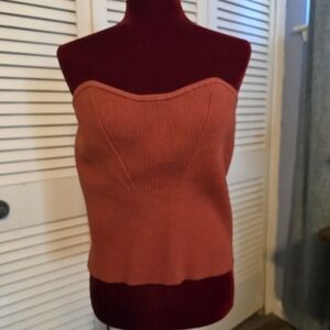 Express Terracotta Ribbed Strapless Top